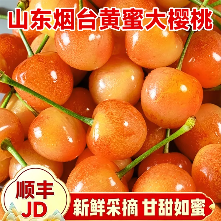C【顺丰/京东】山东黄蜜大樱桃新鲜当季水果正宗烟台黄水晶现摘甜商品图