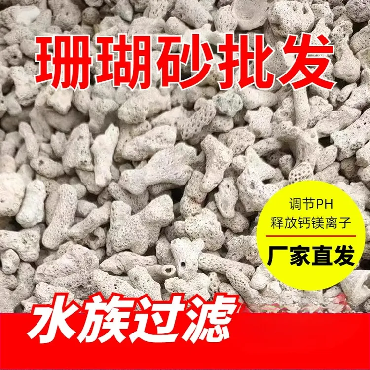 天然珊瑚骨过滤材料水族水产滤箱海鲜池鱼塘培菌专用珊瑚砂调节PH