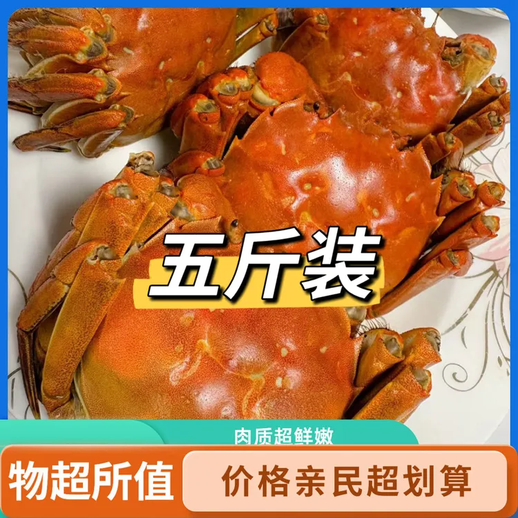 (活蟹)兴化大闸蟹5斤装母2.8两-公3.8两起13-16只自迟蟹净重发货