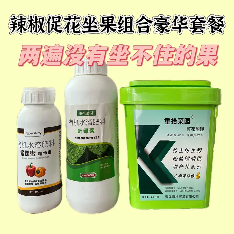 椒满枝 辣椒冲施坐果方案 连续坐果 坐果整齐 果型周正