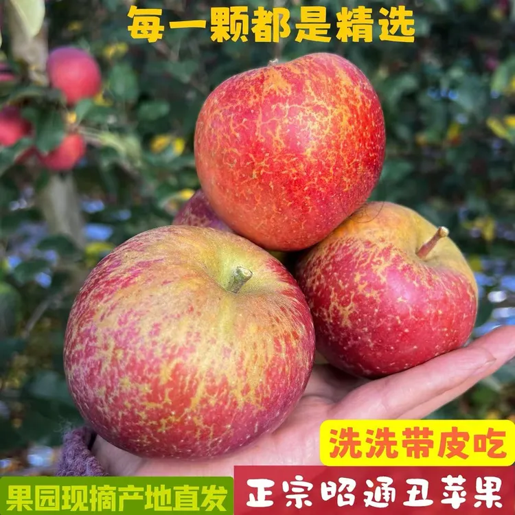 【当季】正宗云南昭通苹果新鲜水果脆甜多汁丑苹果皮薄肉厚产地直发