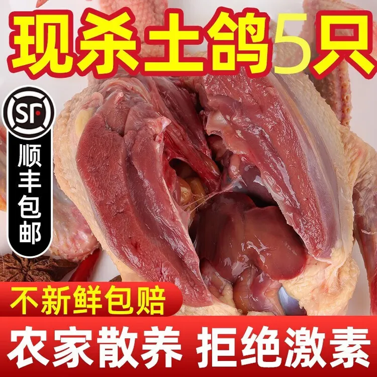 鸽子肉新鲜现杀农家散养发货煲汤乳鸽老鸽子鸽子现杀新鲜顺丰包邮