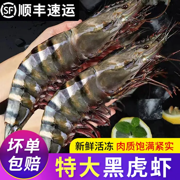 黑虎虾鲜活超大虾鲜活速冻九节虾海鲜水产深海捕捞特大海鲜水产品