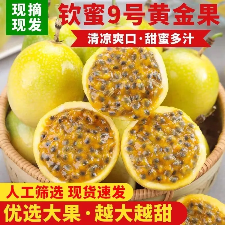 武平黄金百香果钦蜜9号果园直发应季新鲜水果孕妇百香果