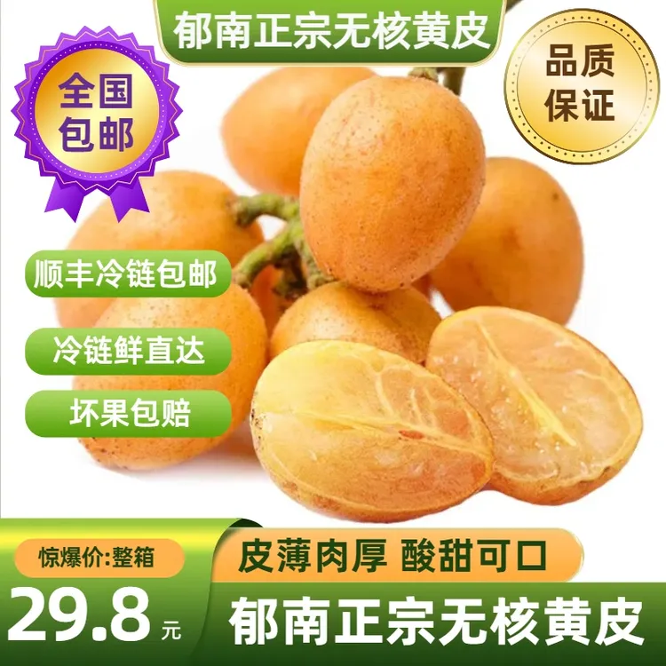 全国顺丰冷链包邮 郁南正宗无核黄皮 黄皮果新鲜现摘当季酸甜水果