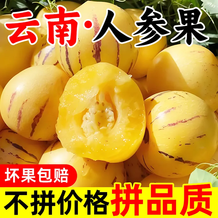 【大圆果】云南石林人参果黄心清甜水果新鲜应季树上熟爆汁人参果