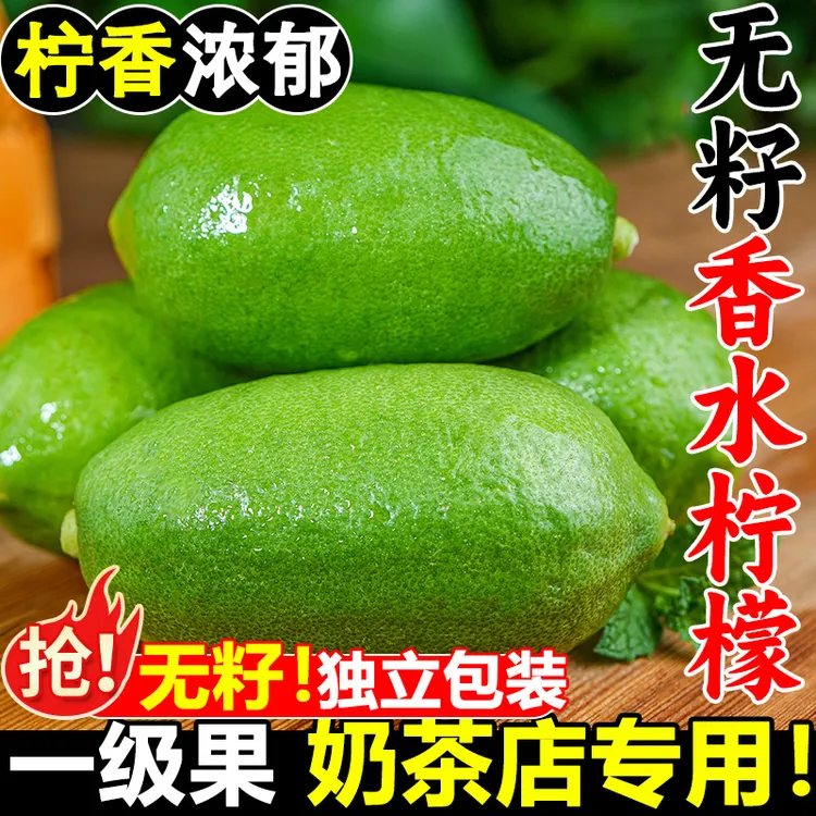 【便宜卖】正宗香水柠檬新鲜无籽青柠檬鲜果水果商用一级果奶茶店用商品图