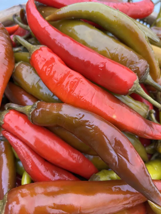 常德特产农家瓦坛酸辣椒，咸淡适中，口感清脆（2斤包邮）