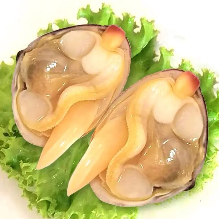 东港大黄蚬子肥美鲜甜  百分之95无沙 鲜活发货哈利贝类蚬子花甲