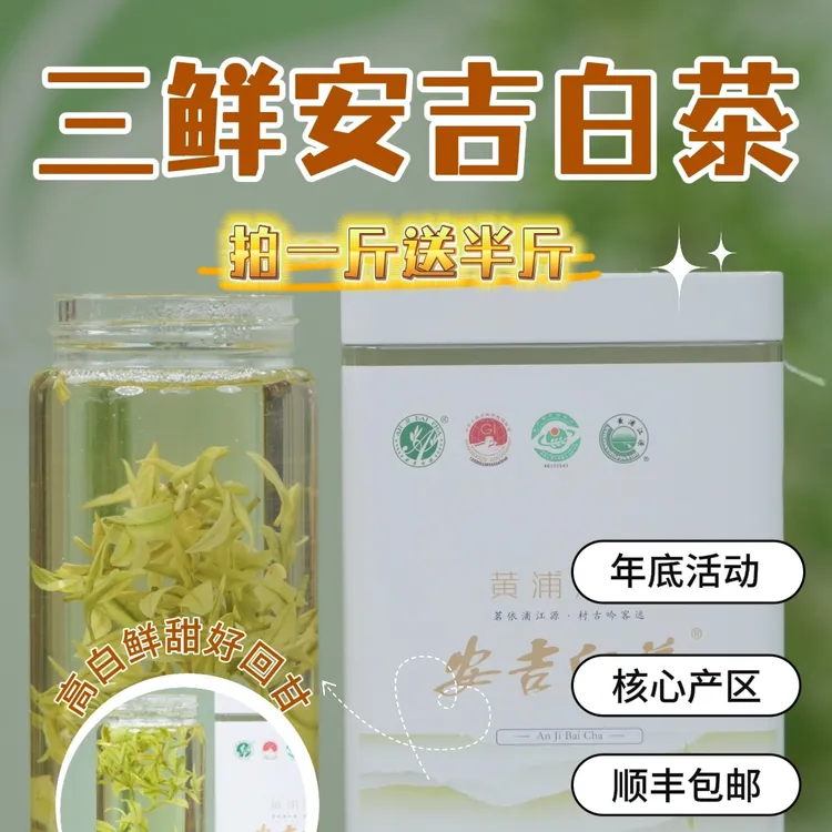 销冠茶【三鲜特白T2】2025年新茶正宗安吉白茶高山头采春茶绿茶鲜爽