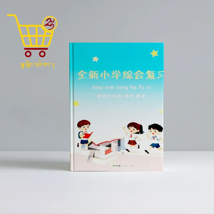 全新小学综合复习