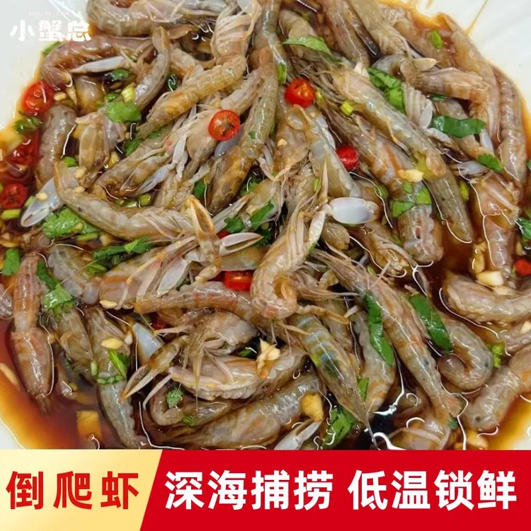 北麂倒爬虾野生深海虾叮当虾低温活冻