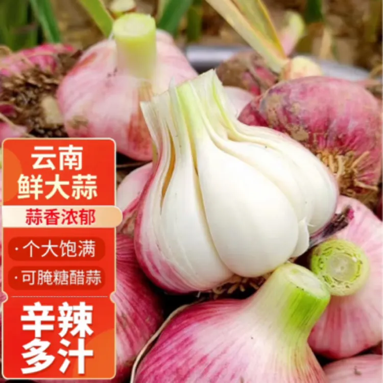 1云南新鲜紫皮蒜现挖湿蒜老品种香蒜厨房必备调味料农家2斤3斤5斤