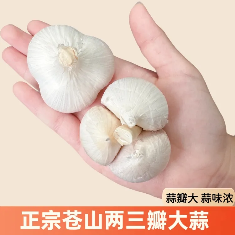 【正宗两三瓣】2025苍山两三瓣山东新干蒜蒜香味浓蒜香浓郁