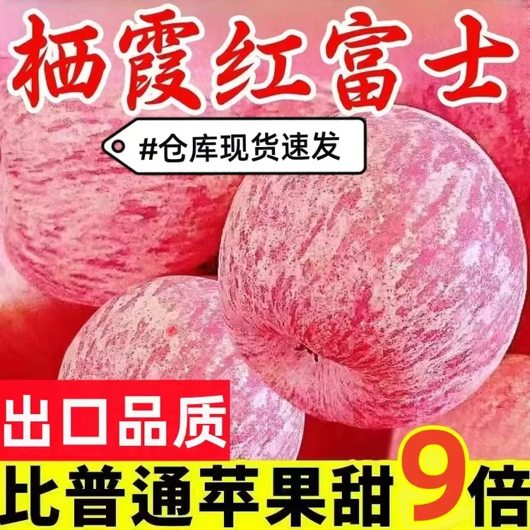 正宗烟台栖霞红富士苹果脆甜多汁新鲜苹果应季水果整箱
