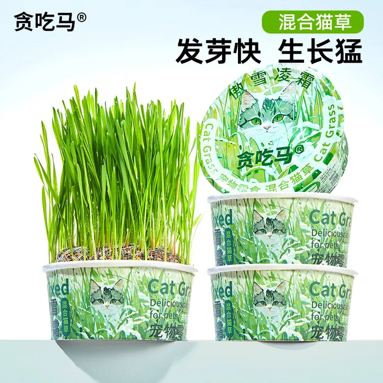 贪吃马泡面猫草无土猫草罐猫咪零食营养混合猫草排毛化毛去毛球商品图