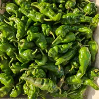 【土薄皮辣椒】农家种植薄皮土辣椒