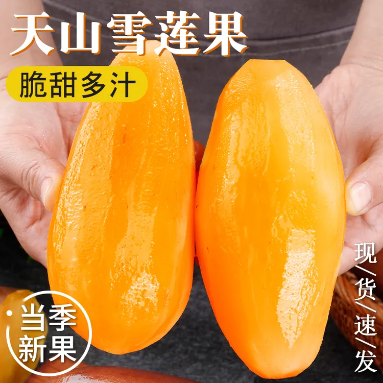 【产地直发】云南天山雪莲果新鲜脆甜多汁应季时令水果整箱送削皮刀商品图