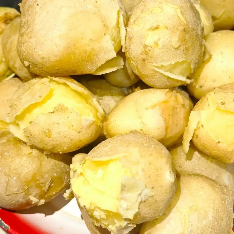 甘肃定西土豆，沙面旱地土豆，2025现挖新鲜蔬菜洋芋马铃薯大鹏