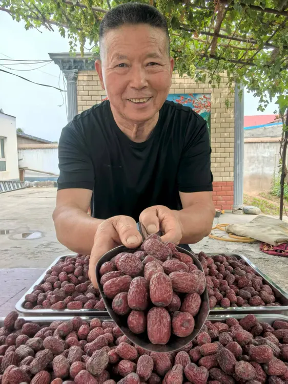 新疆若羌吊干灰枣原生态可煮粥泡茶煲汤的大枣红枣一级