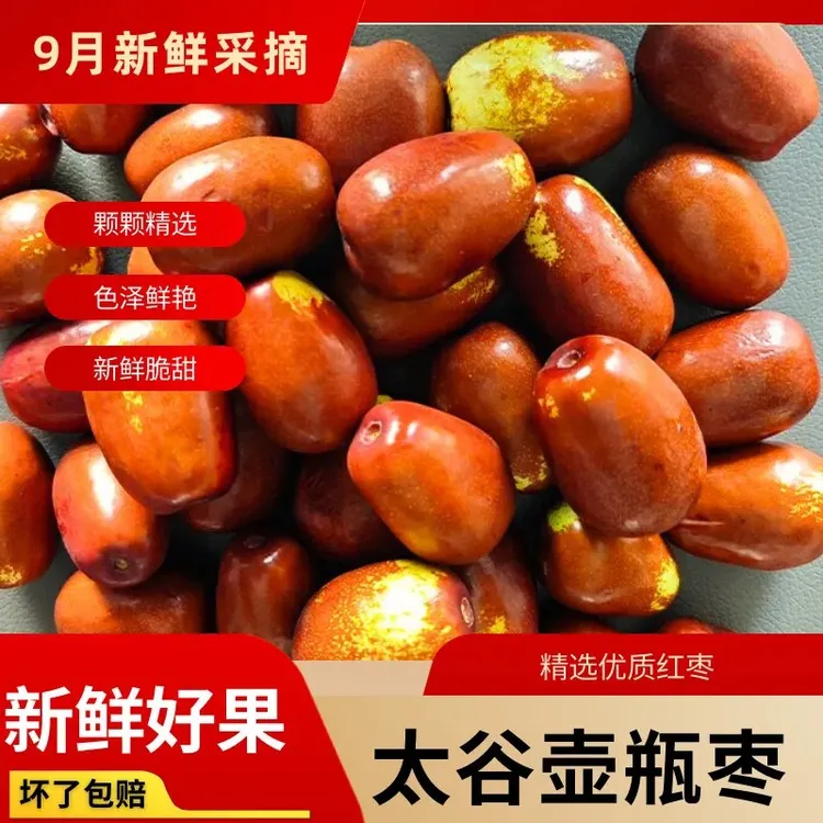 【京东发货】太谷壶瓶枣新鲜现摘水果应季鲜枣