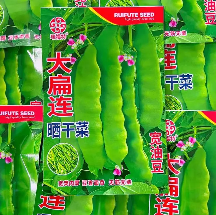 【大扁连晒干菜大油豆种子】无劲无柴