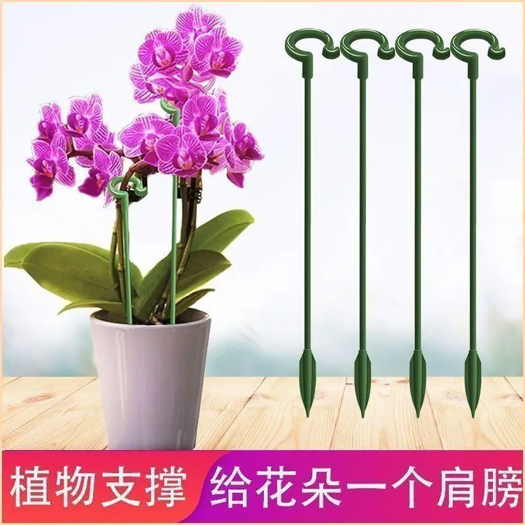 园艺支撑架花支架花卉扶正天堂鸟盆栽绿植物龟背竹吊兰固定防倒伏商品图