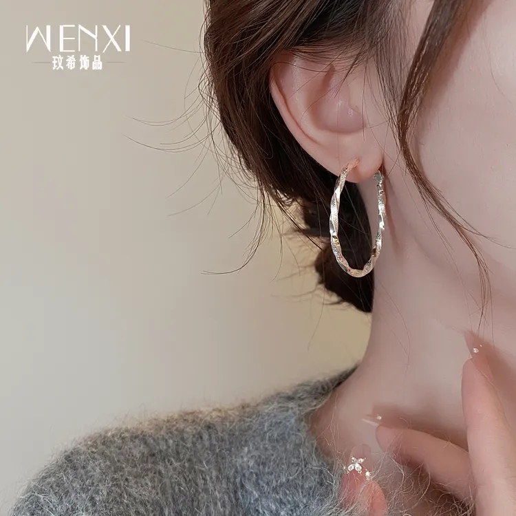 铜合金耳饰 银色扭曲圈圈耳环2025新款爆款高级感ins耳钉小众耳饰