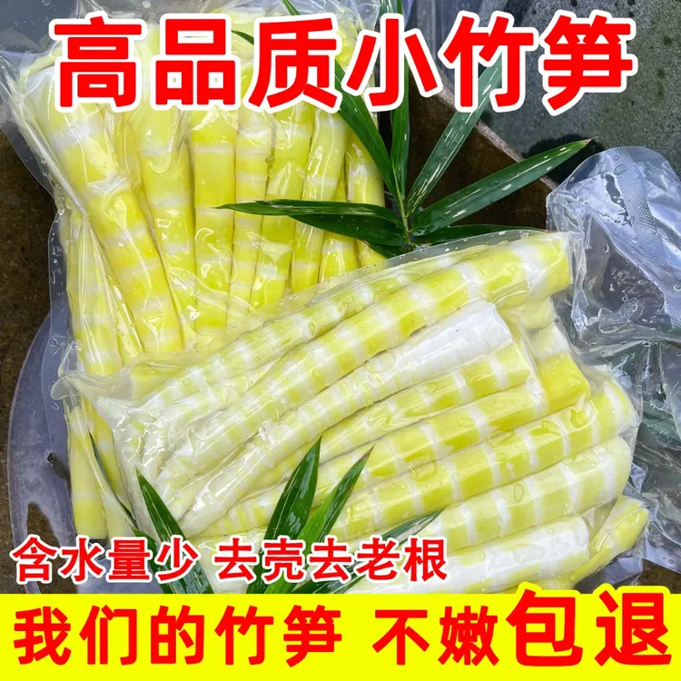 四川高山去壳小竹笋新鲜嫩笋尖清水笋子脆嫩火锅食材笋清水笋
