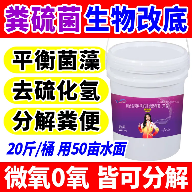 粪硫菌颗粒改底净水辅助保草分解有机质黑泥臭泥降氨氮鱼虾蟹塘