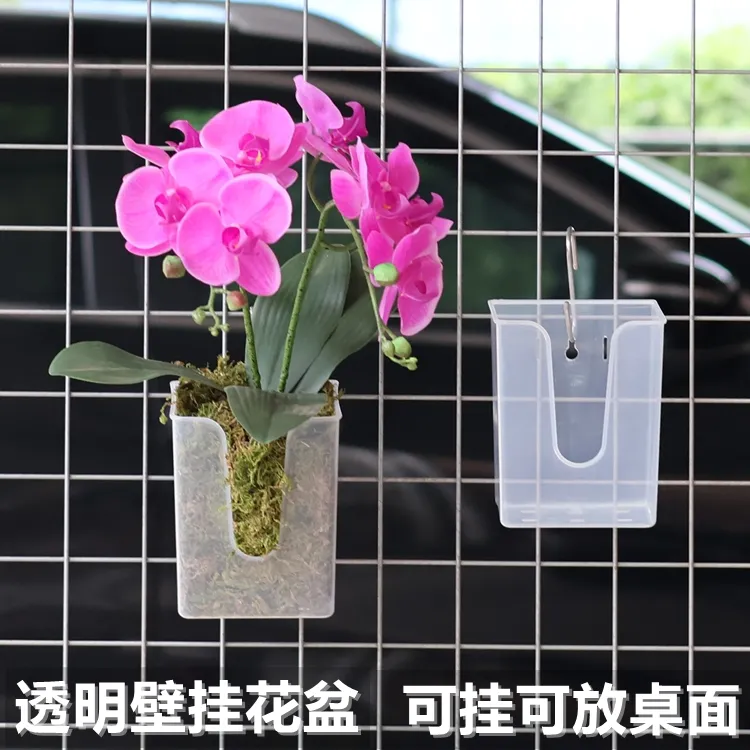 透明壁挂花盆蝴蝶兰专用花盆石斛鹿角蕨小盆栽种植盆粘贴挂墙花盆