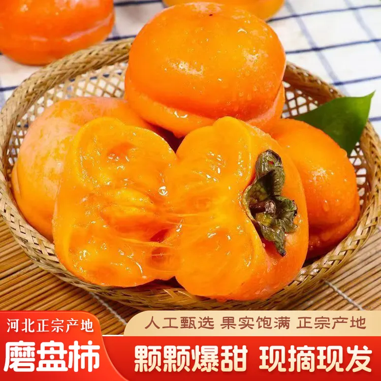 正宗河北磨盘软柿子新鲜水果当季整箱大黄甜软柿子甜应季鲜果 