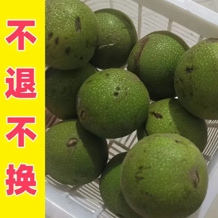 盘山公子帽青皮核桃把件带皮发货