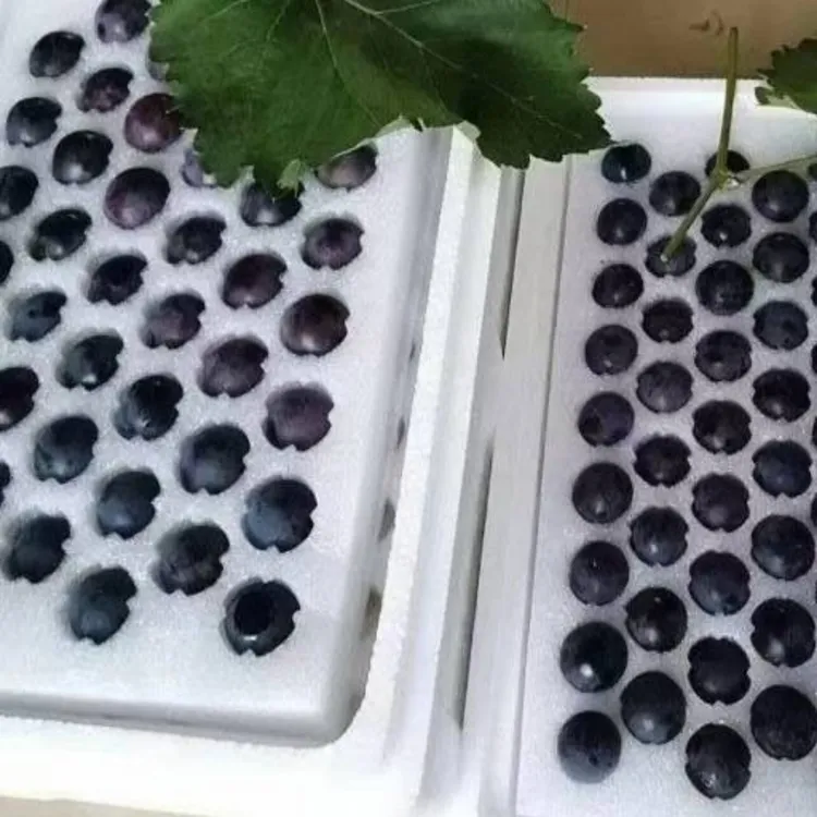 【邮政专属】东北特产北镇辽峰葡萄嘎嘎甜颗粒包装2/3/5斤