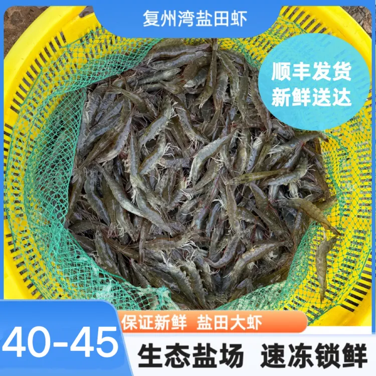 【净重三斤】正宗大连复州湾盐田虾40-45 顺丰发货（冻虾发货）