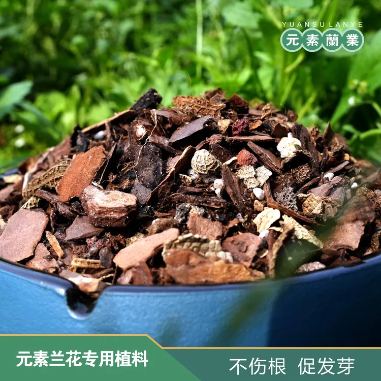 【元素兰花专用植料】天然腐熟·疏松透气·沥水保湿·兰科植物通用