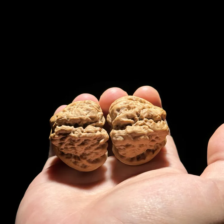 【三角箭毒蛙】41mm延庆蛤蟆头H9肚41边38高28 一物一拍 白茬状态