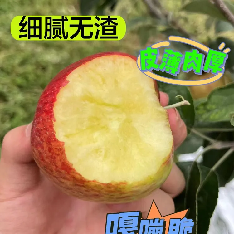 云南新鲜昭通丑苹果脆甜多汁当季时令水果产地直发
