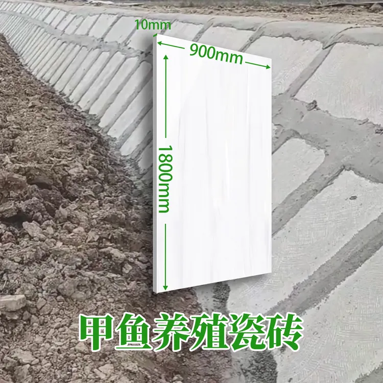 甲鱼养殖瓷砖次品养殖楼养殖种植瓷砖养猪瓷砖防滑耐寒耐热瓷砖