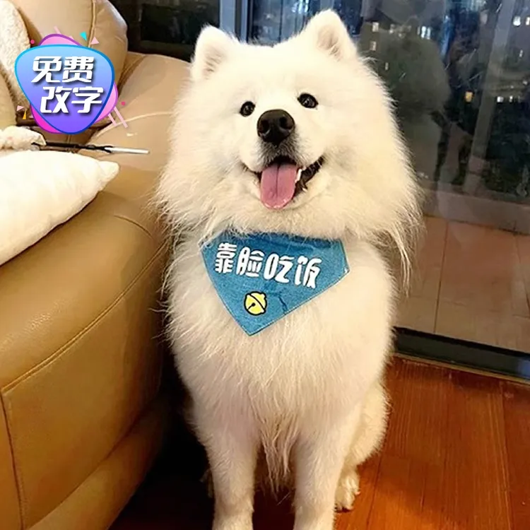 靠脸吃饭萨摩耶三角巾宠物狗狗口水巾围兜围巾大中小型犬猫咪围嘴