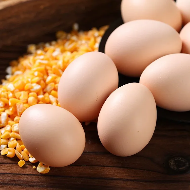 山林散养土鸡蛋新鲜营养每日甄选适合孕妇月子食用