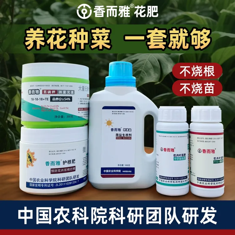 香而雅®园艺无忧套餐三角梅盆景月季兰花等花卉爆花复花促根萌芽