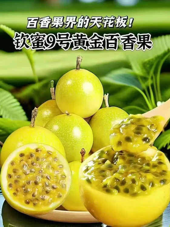 钦蜜9号百香果现采现摘新鲜当季水果