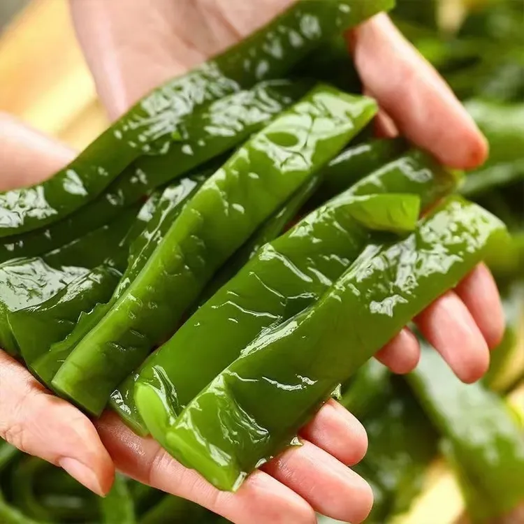 大连盐渍裙带菜梗海白菜5斤带箱D