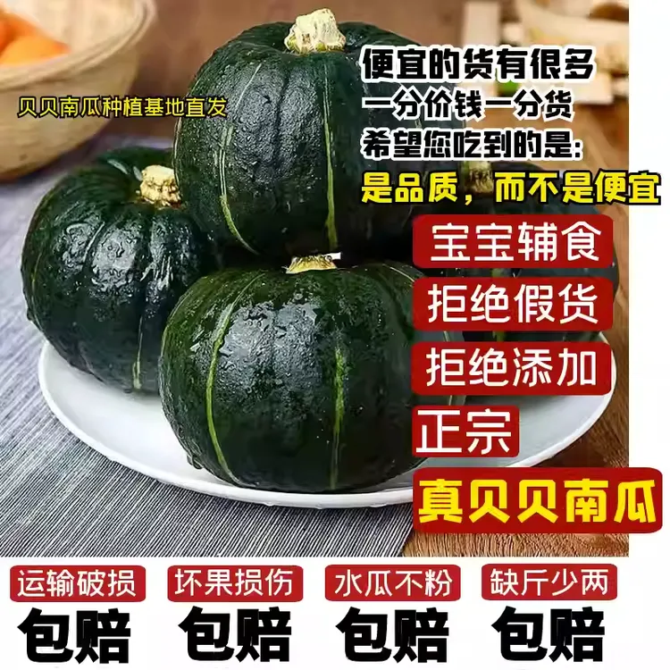 朔农干粉香甜南瓜贝贝正宗板栗味新鲜现摘现发迷你小南瓜