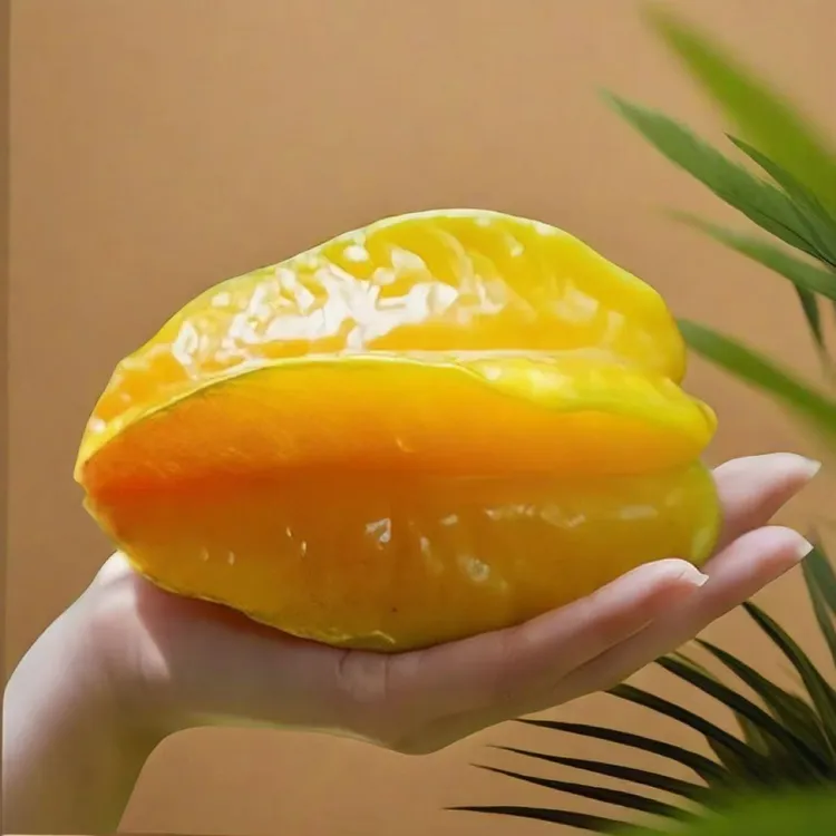 （原产地直发）应季树上熟甜杨桃清甜多汁老树薄皮五星杨桃坏果包赔