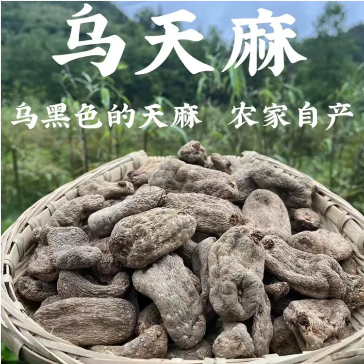 【乌天麻】云南乌蒙山天麻小草坝天麻也叫黑天麻半斤非姜