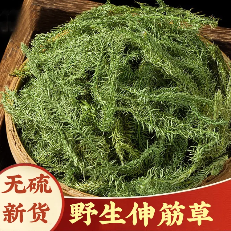 【伸筋草】野生伸筋草250g益智仁伸筋草透骨草金钱草无硫枸杞泡水