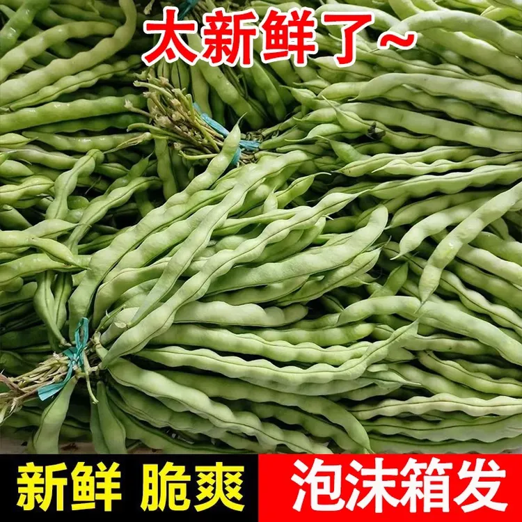 贵州棒豆四季豆新鲜芸豆角扁豆刀豆现摘蔬菜嫩四季豆片