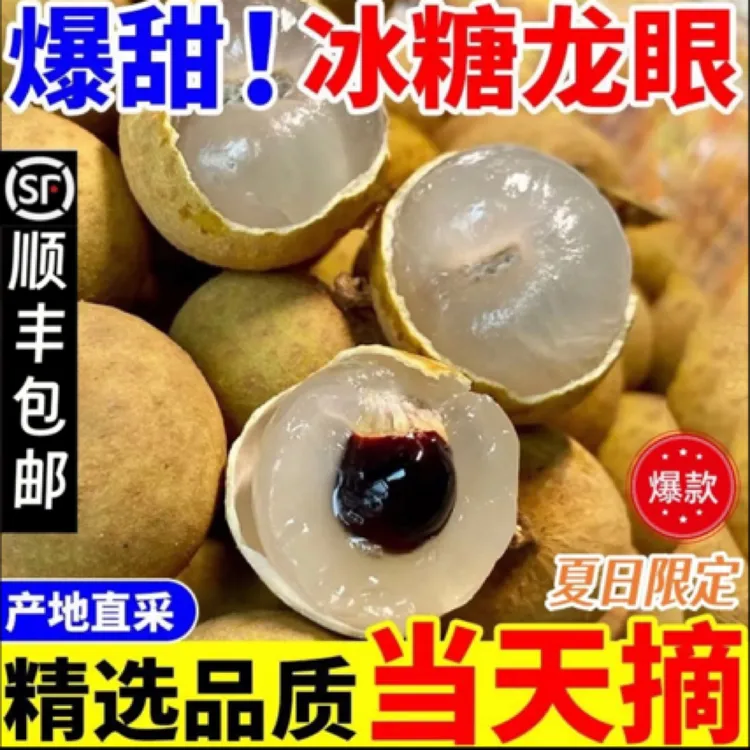 爆甜！冰糖正宗松风本龙眼新鲜现摘现发当季清甜多汁水果
